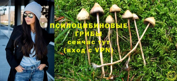 ПСИЛОЦИБИНОВЫЕ ГРИБЫ Магас