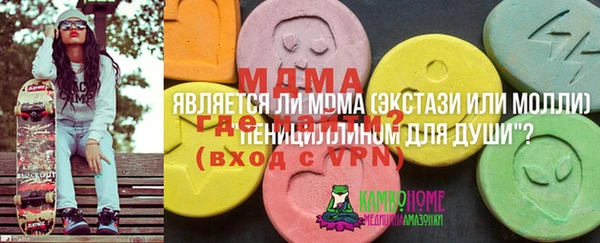 гидра Лиски