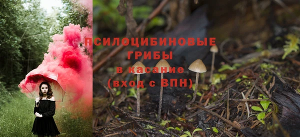 гидра Лиски