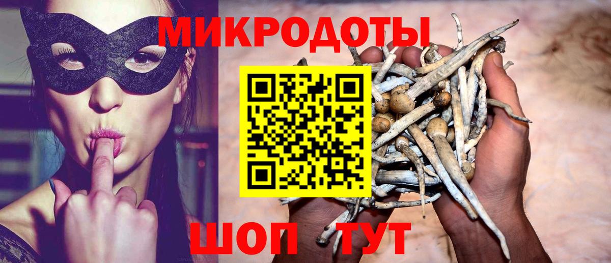 Учалы  Псилоцибиновые грибы MAGIC MUSHROOMS  Вход с VPN 